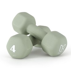 아리프 네오프렌 선인장 아령, 4kg, 2개