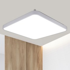 리빙라이팅 LED 초슬림 시스템 방등 60W, 화이트 + 주광색