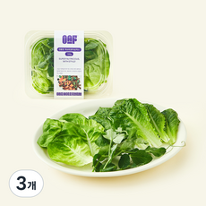 원에이커팜 무농약 인증 피슈트 완두순 믹스, 100g, 3개, 1개입