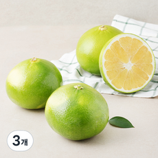 메로골드 자몽, 3개, 1.6kg