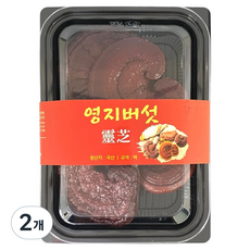 몸애조화 영지버섯, 2개, 170g
