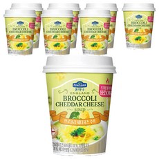 폰타나 잉글랜드 브로콜리 체다치즈 컵수프, 20g, 8개