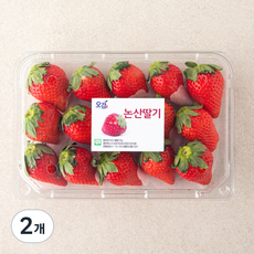 충남오감 논산 GAP 한단 비타베리 딸기(대과), 500g, 2개