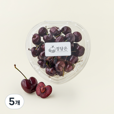 프리미엄 9R 칠레산 체리, 5개, 300g