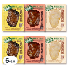 치잇데이 바로먹는 풀드 닭가슴살 오리지널맛 100g + 매콤양념치킨맛 100g + 소이갈릭맛 100g 세트, 6세트