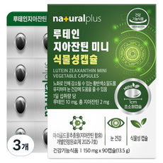 내츄럴플러스 루테인 지아잔틴 미니 식물성캡슐 13.5g, 90정, 3개