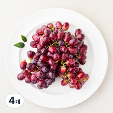 곰곰 칠레산 씨없는 적포도, 1.2kg, 4개