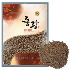 동광한방몰 렌틸콩 렌즈콩, 2kg, 1개