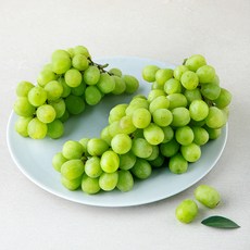 곰곰 호주산 애플청포도, 900g, 1팩