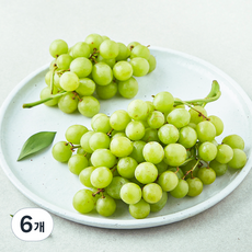 칠레산 H&B 청포도, 6개, 600g