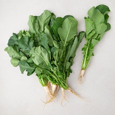 국내산 열무, 900g, 1개
