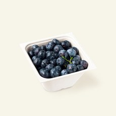 산지직송 아주마 무농약 인증 영동 대왕 블루베리, 250g, 1개