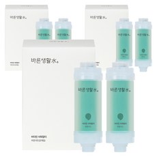 바른생활수 비타민 샤워필터, 6개, 피톤치드