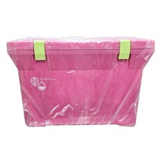 Livewell繽紛色系保冷/保溫冰箱, 日本製, 粉色, 15L