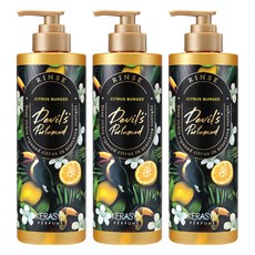 KERASYS 魔鬼香水第 2 季 沖洗柑橘彈性繩, 500ml, 3個