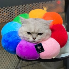 DING DONG PET 寵物蓬鬆向日葵頸圈, 彩虹向日葵