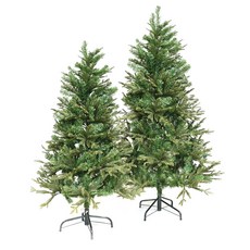 도시정원 피오르드 알파인 전나무 트리, 그린