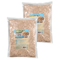 해바라기씨, 1kg, 2개