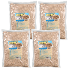 해바라기씨, 1kg, 4개