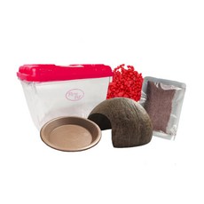 Rora Pet 寄居蟹養殖場5件套, 櫻桃紅（地材），隨機發貨（集電蓋）