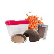 Rora Pet 寄居蟹養殖場5件套, 橘子橙（地材），隨機發貨（收集容器蓋）