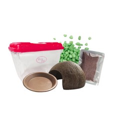 Rora Pet 寄居蟹養殖場5件套, 沙子(蘋果綠)+收集箱(隨機顏色)