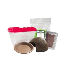 Rora Pet 寄居蟹養殖場5件套, 蘋果綠（地材），隨機發貨（垃圾桶蓋）