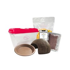 Rora Pet 寄居蟹飼養箱5件組, 亮黃色(底材), 隨機出貨(採集箱蓋子)