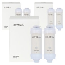 바른생활수 비타민 샤워필터, 6개, 무향