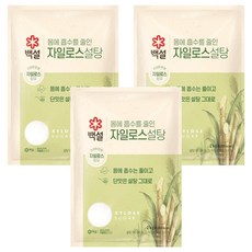 백설 자일로스 설탕, 2kg, 3개