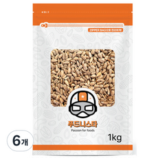 푸드니스타 해바라기씨, 6개, 1kg