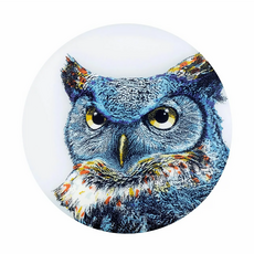 Waboba 軟式LED發光飛盤 15.2公分 適合年齡：6歲以上, 貓頭鷹, 1個