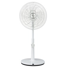 TECO 東元 16吋 微電腦DC節能遙控立扇 XA1617BRD3