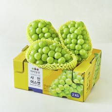 아리당찬 비파괴 당도선별 샤인머스켓, 2kg, 1개