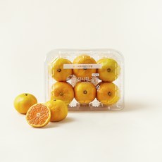 진시황 Ai선별 12.5brix 고당도 감귤, 1개, 500g