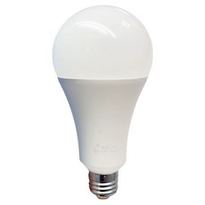 BEAMY TAIWAN 寶島之光 40W LED超節能燈泡 100~240V 5600流明, 黃光, 1個