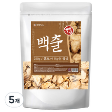 건강중심 국산 백출 삽주뿌리, 250g, 5개