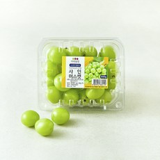 아리당찬 비파괴 당도선별 알알이 샤인머스켓, 1팩, 500g