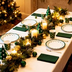 PARTYSHOW NEW 線條圓點盤, 綠色, 30個