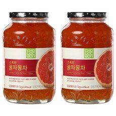 초록원 꿀자몽차, 1kg, 1개입, 2개