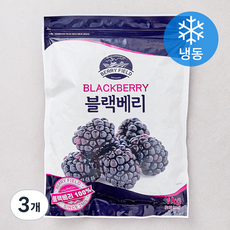 베리필드 칠레산 블랙베리 (냉동), 3개, 1kg