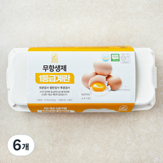 계란의정원 무항생제 1등급 계란, 10구, 6개