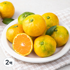 새벽경매 하우스 감귤, 500g, 2팩