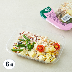 스윗밸런스 저당밸런스 크림오징어 샐러드, 300g, 6개
