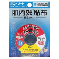 Nitto 日東 醫療用貼布 藍色, 1片