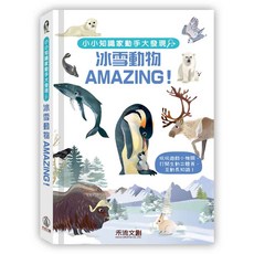 小小知識家動手大發現 冰雪動物AMAZING!, 禾流文創