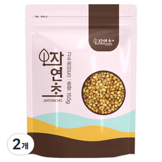 코리앤더 씨드 고수씨, 150g, 2개