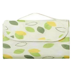 아이엠타이거 컬러풀 피크닉돗자리 캠핑매트 2-3인용, 그린