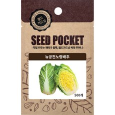 월드가드닝 정원 텃밭 좋은 씨앗 뉴궁전노랑배추씨 500p, 1개