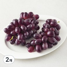 칠레 적포도, 900g, 2개